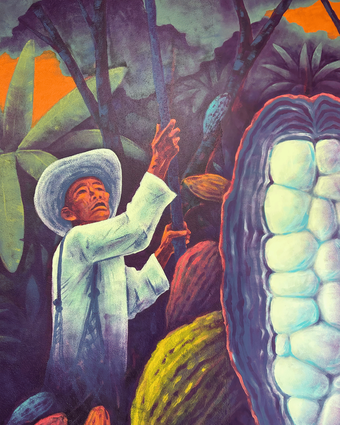 Chocola-tre — Cacao mexicano